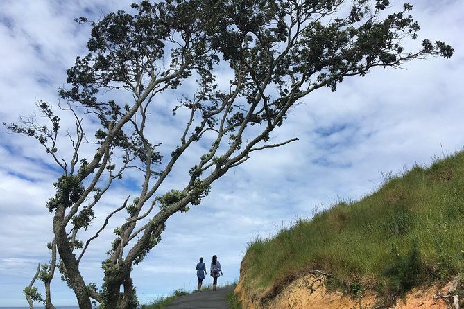 Cathedral Cove Day Trip from Auckland - Key things to know before you book