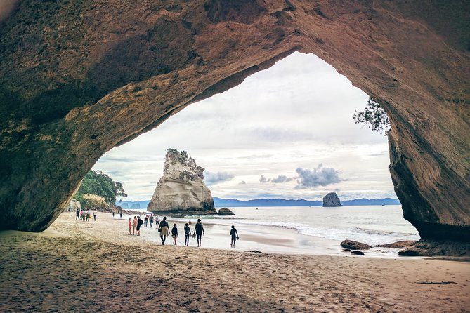 Cathedral Cove Day Trip from Auckland - Hot Water Beach: a short stop with a strange natural trick