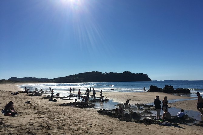 Cathedral Cove Day Trip from Auckland - Mount Paku: a quick climb with a big payoff