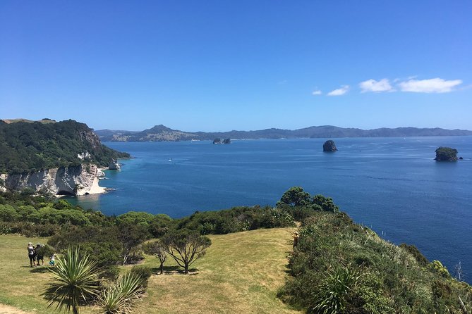 Cathedral Cove Day Trip from Auckland - The road time, weather, and physical effort