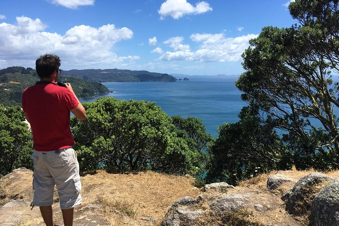 Cathedral Cove Day Trip from Auckland - Who will get the most from the $242.02 price
