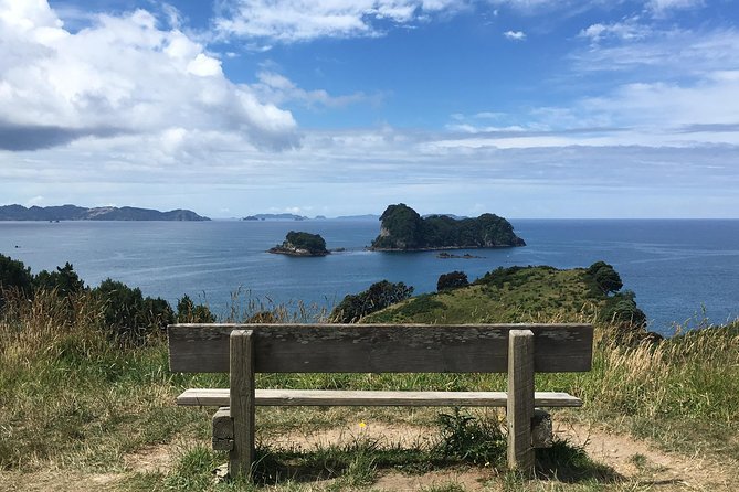 Cathedral Cove Day Trip from Auckland - Booking details worth keeping in mind