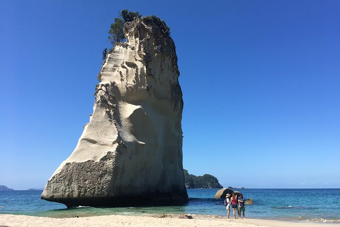 Cathedral Cove Day Trip from Auckland - Walking to Cathedral Cove through coastal scenery