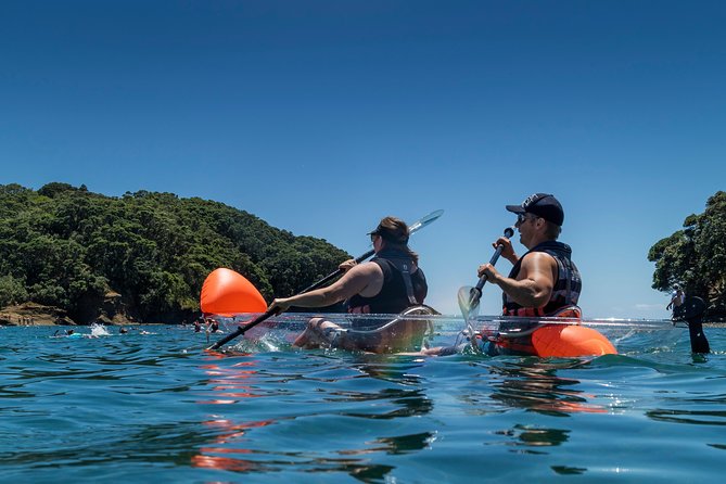 Clearyak hire at Goat Island Marine Reserve - What you will see below the hull