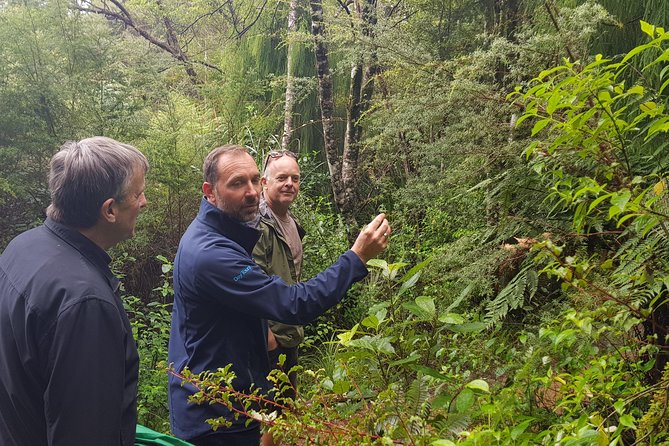 Coast and Rainforest Eco-Tour from Auckland with Picnic Lunch - Arataki Visitor Centre and the Maori carvings