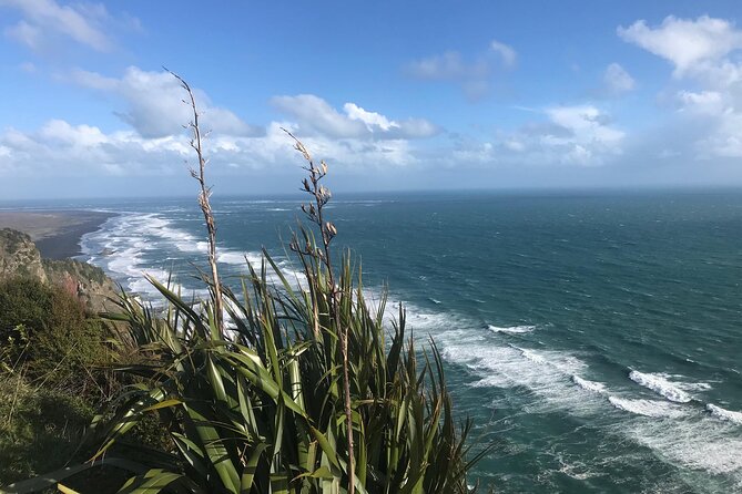 Coast and Rainforest Eco-Tour from Auckland with Picnic Lunch - What the guides add to the day