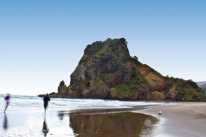 Coast and Rainforest Eco-Tour from Auckland with Picnic Lunch - Price, group size, and practical value