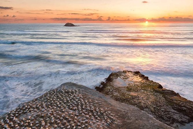 Coast to Coast Private Eco Tour - Mission Bay and Auckland’s seaside side