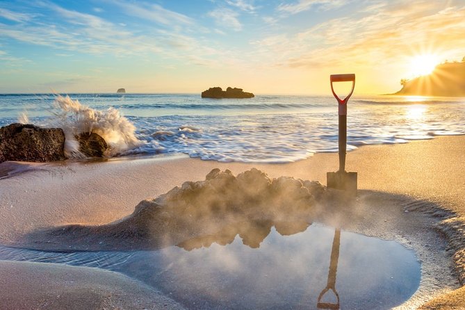Coromandel Coastal Experience - Small Group Tour from Auckland - Key points to know before booking
