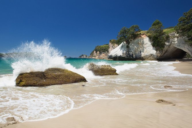 Coromandel Coastal Experience - Small Group Tour from Auckland - Hot Water Beach and the tide clock