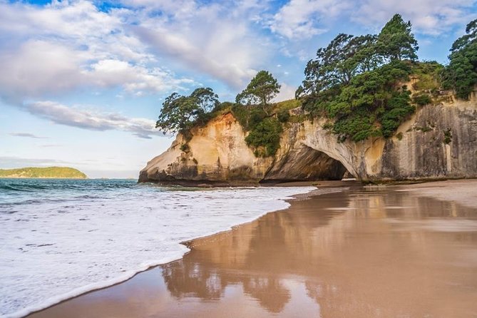 Coromandel Coastal Experience - Small Group Tour from Auckland - The return to Auckland