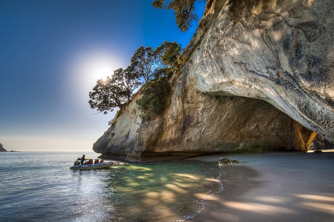 Coromandel Coastal Experience - Small Group Tour from Auckland - How much value do you get?