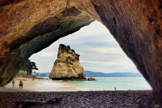 Coromandel Coastal Experience - Small Group Tour from Auckland - Who should book this Coromandel tour?