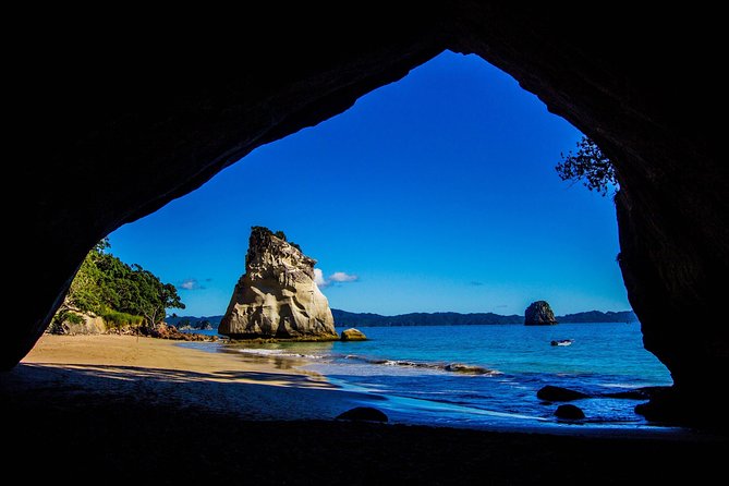 Coromandel Coastal Experience - Small Group Tour from Auckland - Thames: a useful break before the peninsula