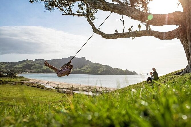 Coromandel Day Tour From Auckland - What the full day feels like