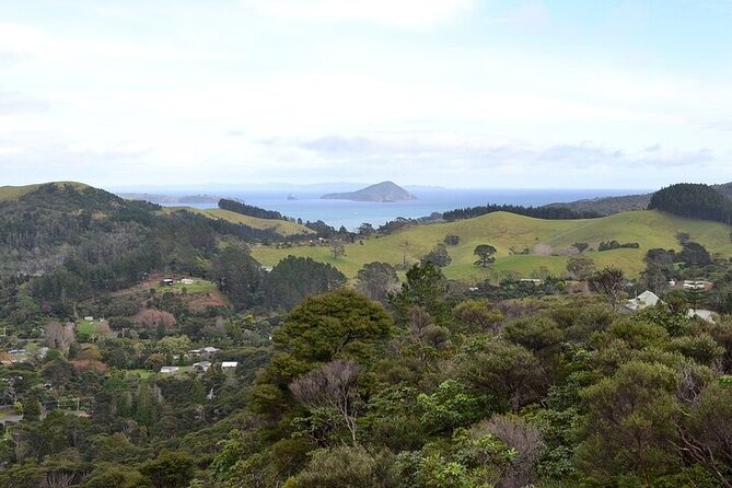 Coromandel Day Tour From Auckland - Is $284.84 a fair price?