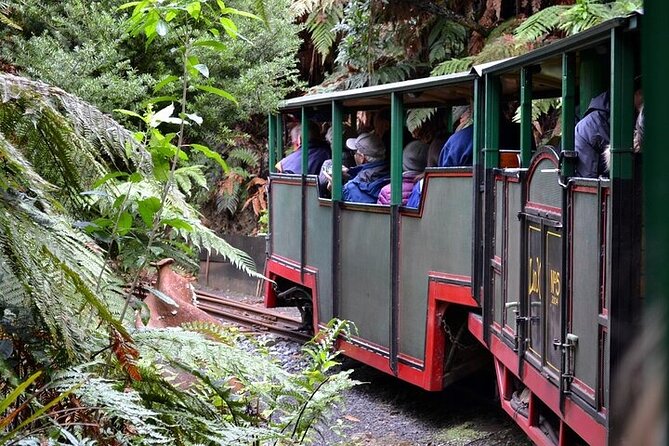 Coromandel Day Tour From Auckland - Who should book this Coromandel day tour?