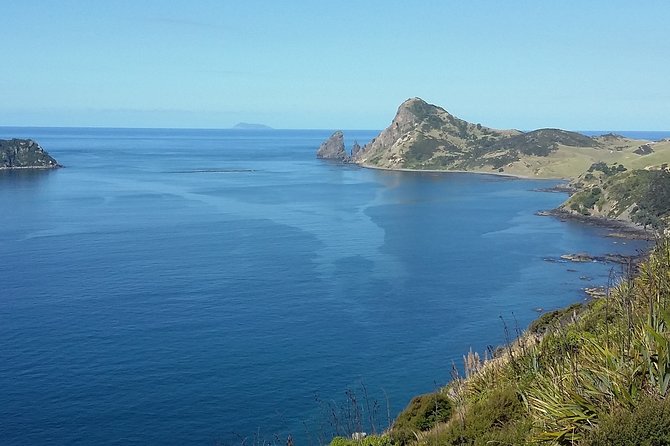 Coromandel Peninsula Discovery - Private Tour From Auckland - Local stories and a personal guiding style