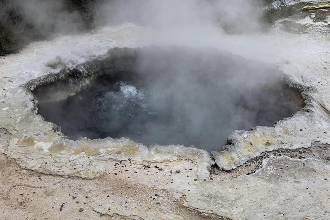 Day Tour Hobbiton + Rotorua from Auckland in Luxury Minibus - Lunch and Māori culture at Te Puia