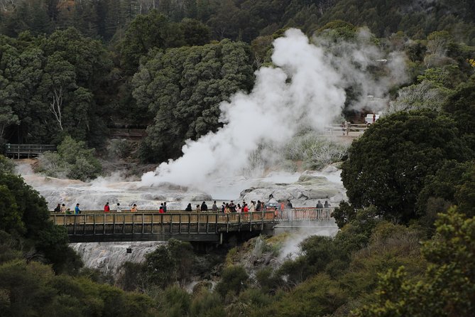 Day Tour Hobbiton + Rotorua from Auckland in Luxury Minibus - How the guides affect the day