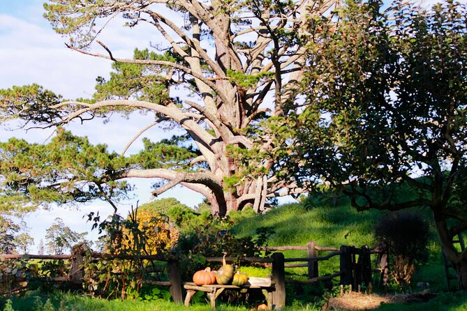 Day Tour Hobbiton + Rotorua from Auckland in Luxury Minibus - Is the $312.77 price fair?