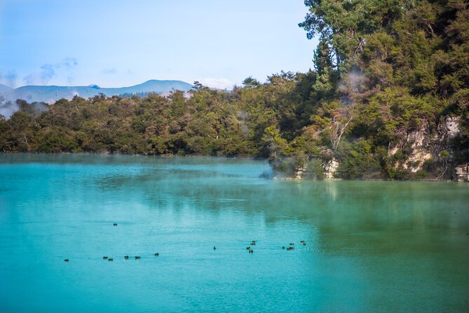 Devil's Bath Experience - Private Tour to Wai-O-Tapu & Lake Taupo - What the private vehicle adds
