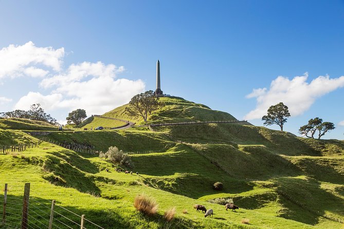 Discover Auckland City Tour: The City of Sails - Timing, pickup, and weather