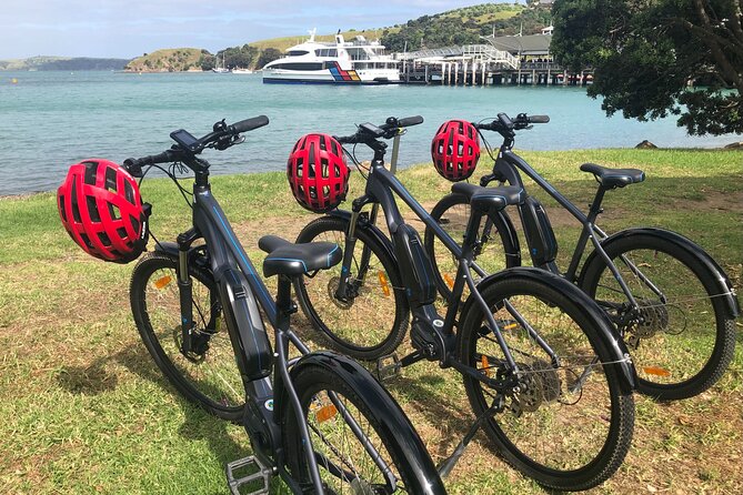 eRide Waiheke 5 bays ride - Vineyards, olive groves, and food stops