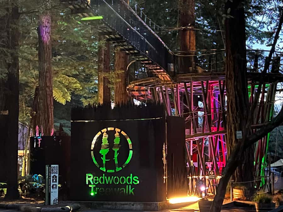 Ex Auckland: TE PUIA Geothermal, Redwood & Blue Springs - Why Te Puia works as a Rotorua day trip