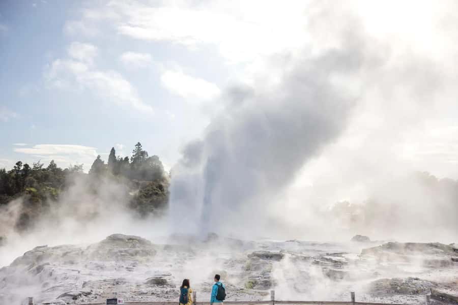 Ex Auckland: TE PUIA Geothermal, Redwood & Blue Springs - The early Auckland pickup and the road south