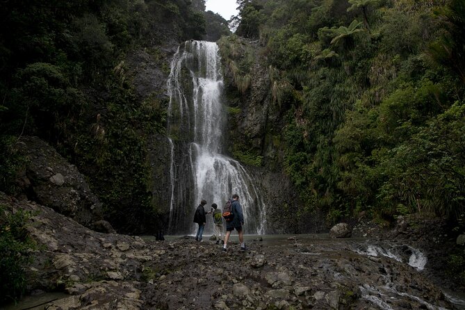 Explore BLACK SAND PIHA BEACH, and Water Falls in West Auckland - Piha Beach, where black sand meets surf