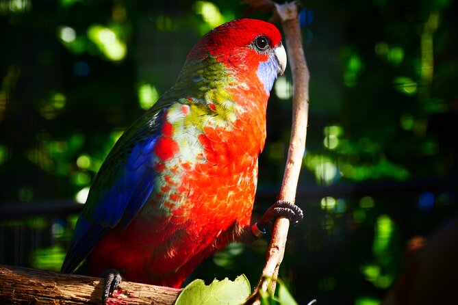 Explore gardens & galleries filled with incredible art, Matakana - Food, coffee, and wine after the art