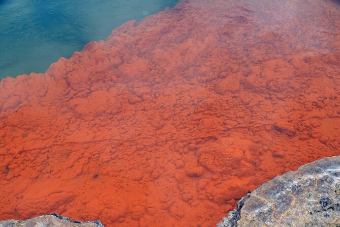 From Auckand: Waiotapu and Polynesian Spa Rotorua Day Tour - A 6:00 a.m. start from Auckland