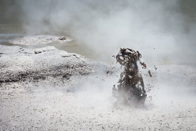 From Auckand: Waiotapu and Polynesian Spa Rotorua Day Tour - Is the $235.82 price good value?
