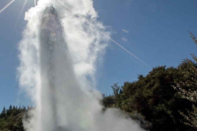 From Auckand: Waiotapu and Polynesian Spa Rotorua Day Tour - Who will enjoy this Auckland to Rotorua day trip?