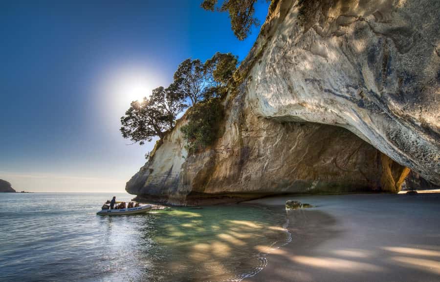 From Auckland: Cathedral Cove & Hot Water Beach Tour - Key points to know before booking