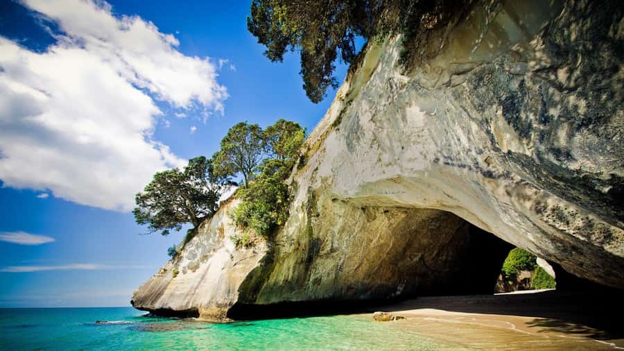 From Auckland: Cathedral Cove & Hot Water Beach Tour - Why this Coromandel day trip is worth your time