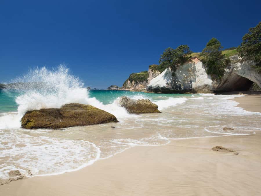 From Auckland: Cathedral Cove & Hot Water Beach Tour - Walking down to Cathedral Cove