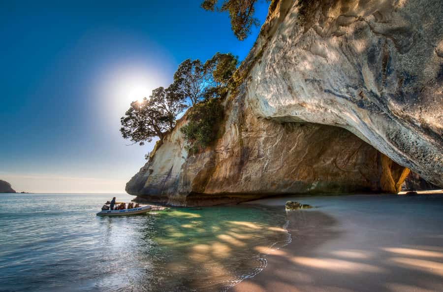 From Auckland: Cathedral Cove & Hot Water Beach Tour - Who should book this experience