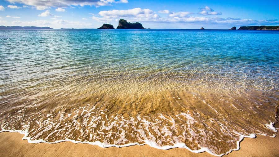 From Auckland: Cathedral Cove & Hot Water Beach Tour - Should you book the Cathedral Cove and Hot Water Beach tour?