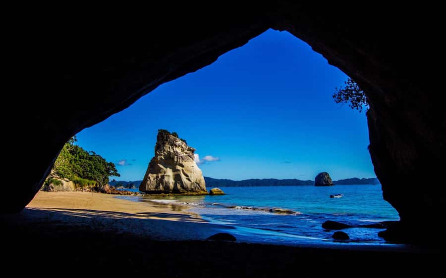 From Auckland: Cathedral Cove & Hot Water Beach Tour - The long road from Auckland to the Coromandel
