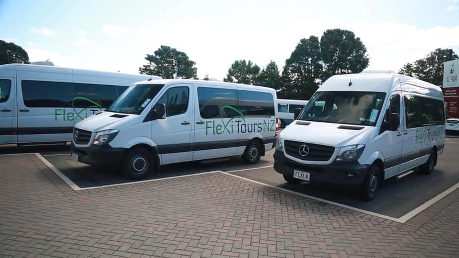 From Auckland: Day Trip to Rotorua with Optional extras - The minibus ride and the value of a small group