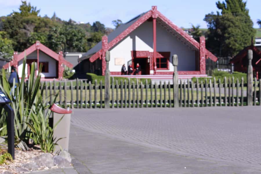 From Auckland: Day Trip to Rotorua with Optional extras - Price, inclusions, and where the value lies