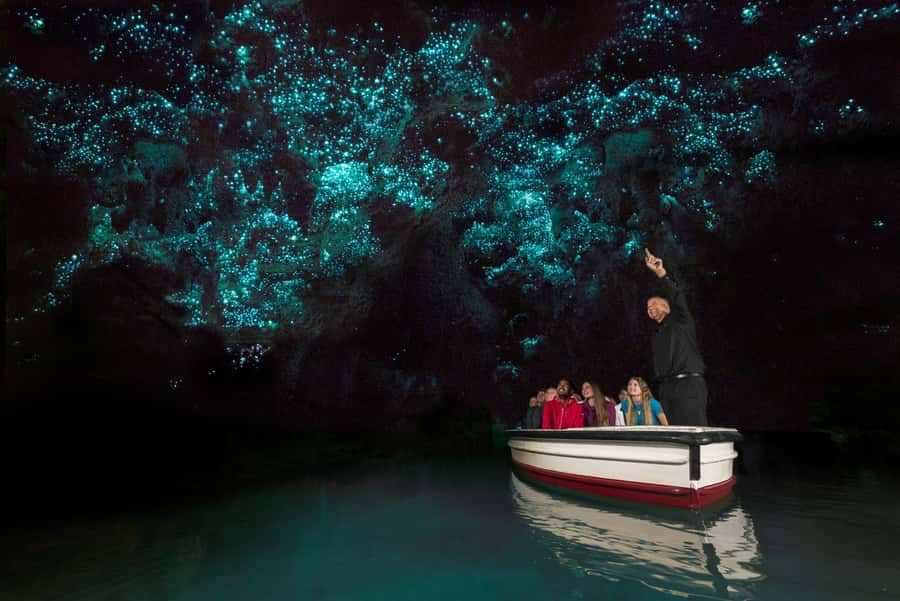 From Auckland: Day Trip to Waitomo Glow Worm Caves - The glowworm ceiling inside Waitomo