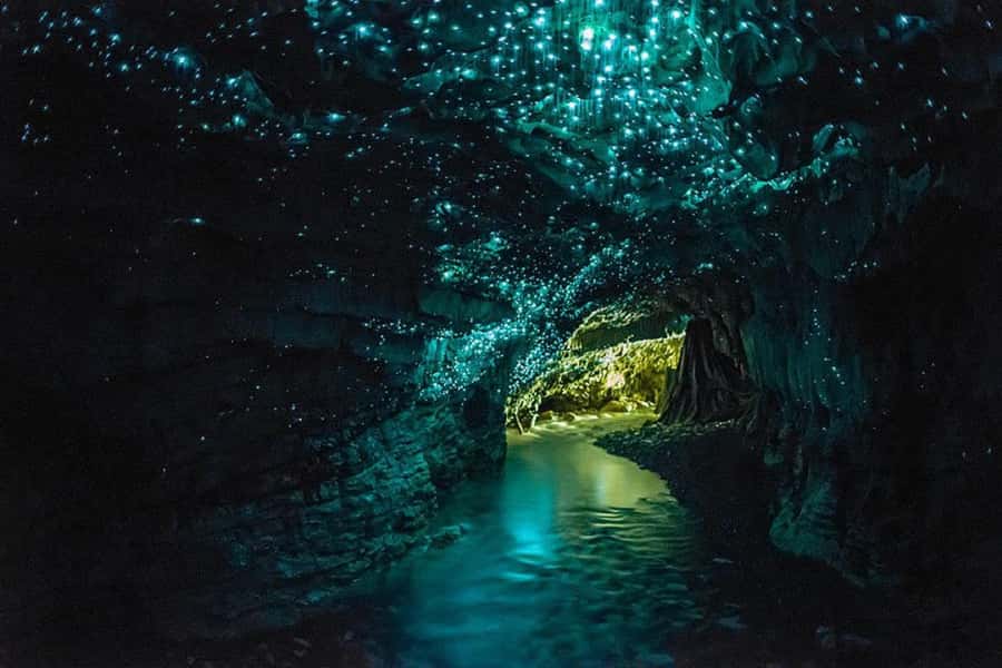 From Auckland: Day Trip to Waitomo Glow Worm Caves - Leaving Auckland for the Waikato countryside