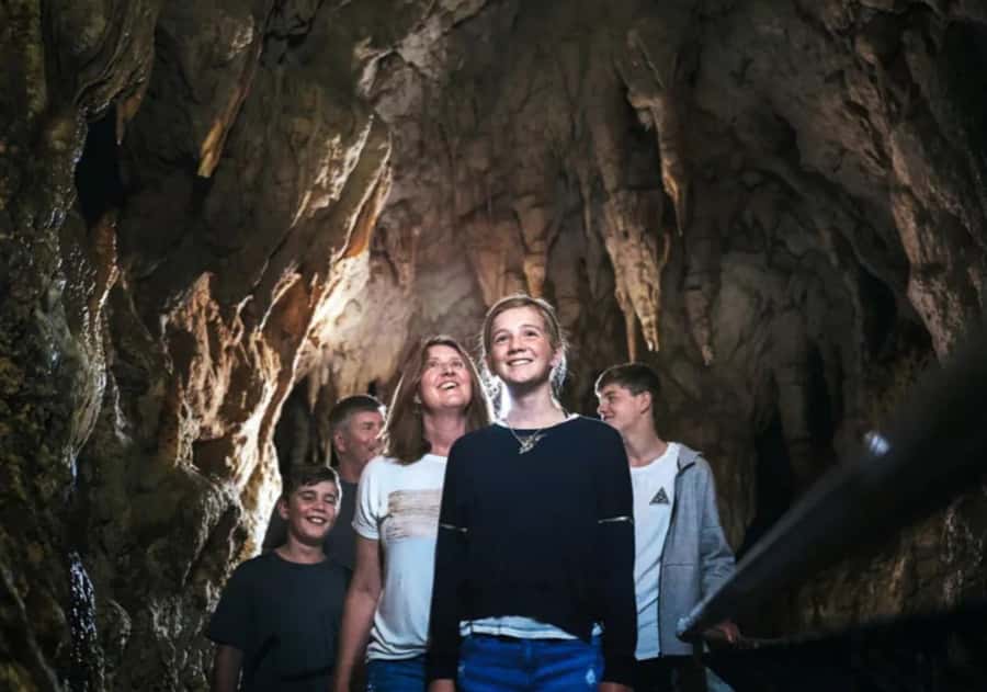 From Auckland: Day Trip to Waitomo Glow Worm Caves - The seven-hour timing in plain terms