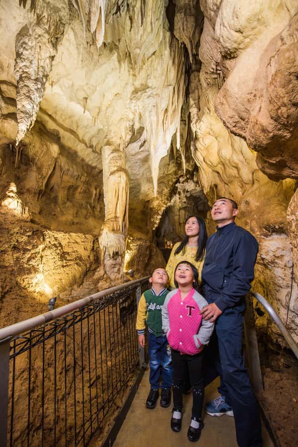 From Auckland: Day Trip to Waitomo Glow Worm Caves - Who will enjoy this day trip