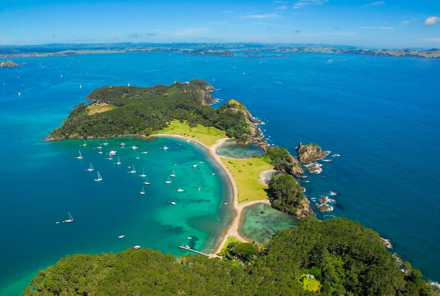 From Auckland: Full-Day Tour to the Bay of Islands - Key points at a glance
