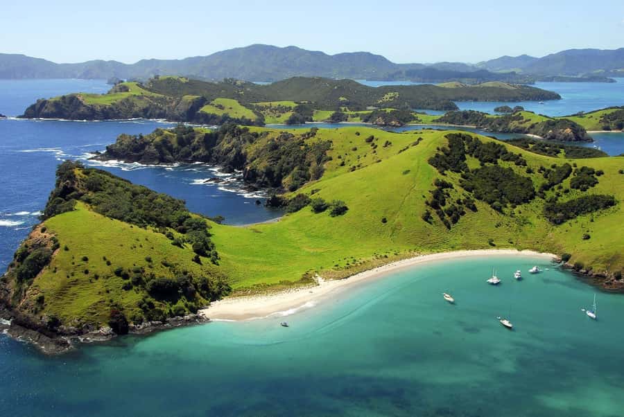 From Auckland: Full-Day Tour to the Bay of Islands - Paihia and the Bay of Islands cruise
