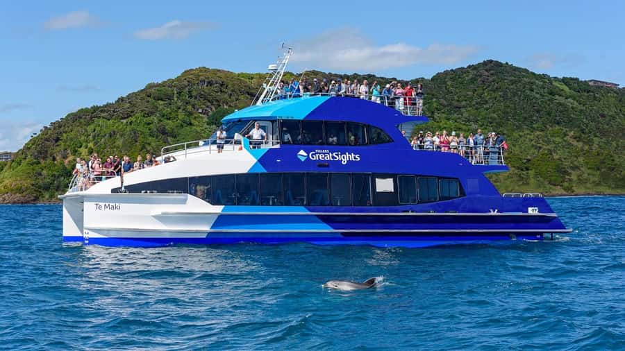 From Auckland: Full-Day Tour to the Bay of Islands - Urupukapuka Island gives you a choice